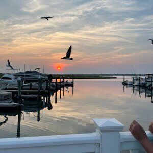 Meet your Posher, Maria